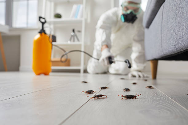 Post-Treatment Bed Bug Interceptor Monitoring in Worth