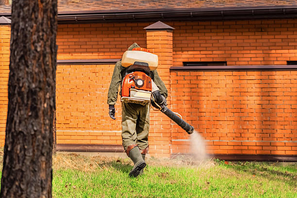 Bed Bug Clearance Verification and Documentation in Worth